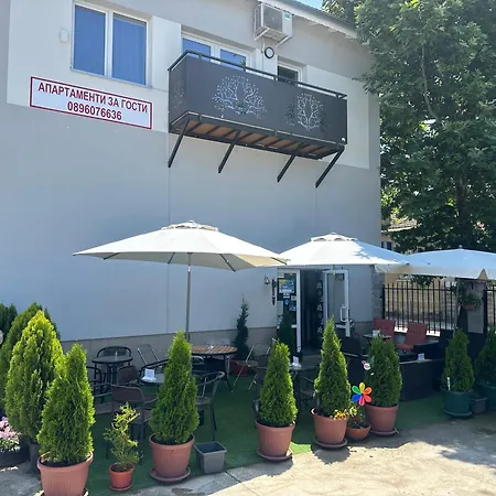 за гости-фотинова попово