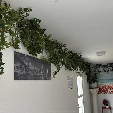 за гости-фотинова попово